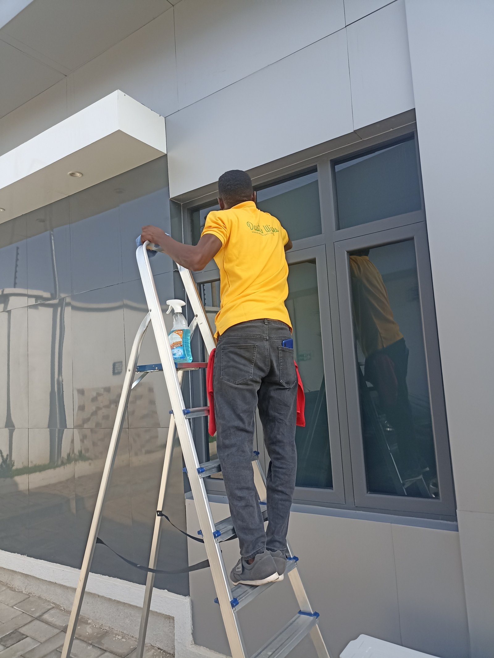 Dust and Wipes staff on ladder cleaning exterior windows of building